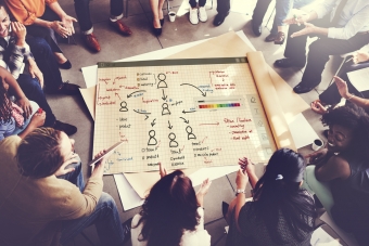 Organizational Navigation